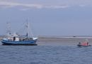 Lotte, Amrum