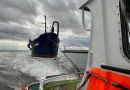 Lotte, Amrum